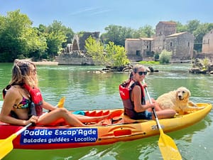 Balade en kayak avec chien sur l'herault